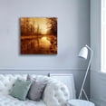thumbnail image 5 of Epic Graffiti 'Floating Down The River' by Philippe Sainte-Laudy, Canvas Wall Art, 37"x37", 5 of 8