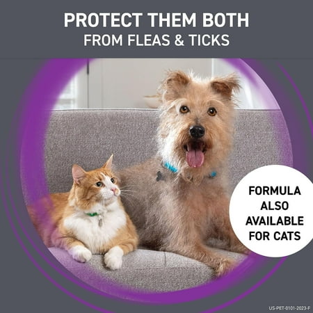 Frontline Plus Flea and Tick Prevention for Extra-Large Dogs, 6 Monthly Treatments