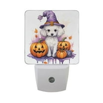 Pumpkins and Dog Halloween Night Light LED Dusk to Dawn Auto Sensor Night Lamp Plug-in Nightlight for Bedroom Hallway Kitchen 2 PCs