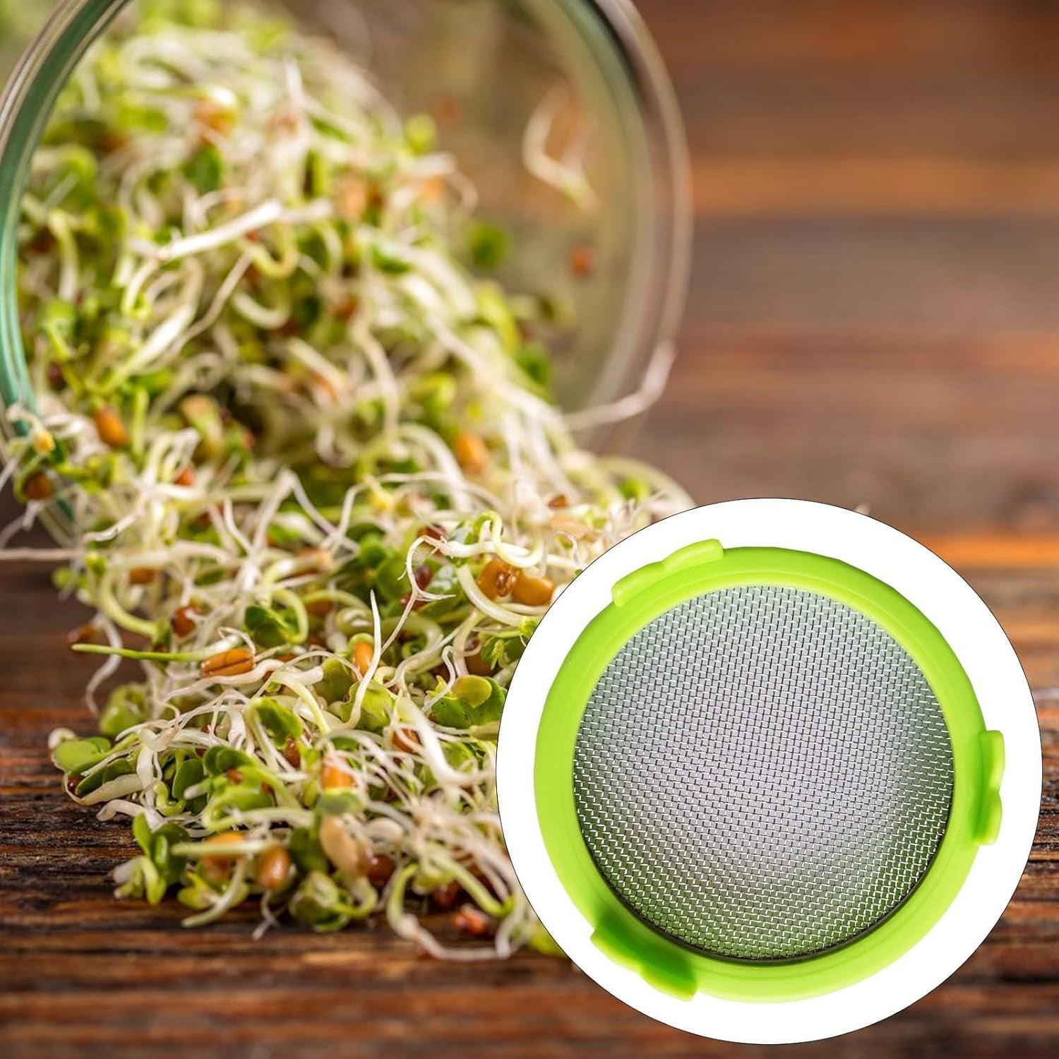 Sprouting Jar Lids For Making Microgreens & Sprouts At Home - Honest Seed Co. Strainer Lids 6 thumbnail image