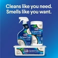 thumbnail image 5 of Clorox Scentiva Disinfecting Wet Mop Pads, Coconut & Waterlily, 24 Count, 5 of 12