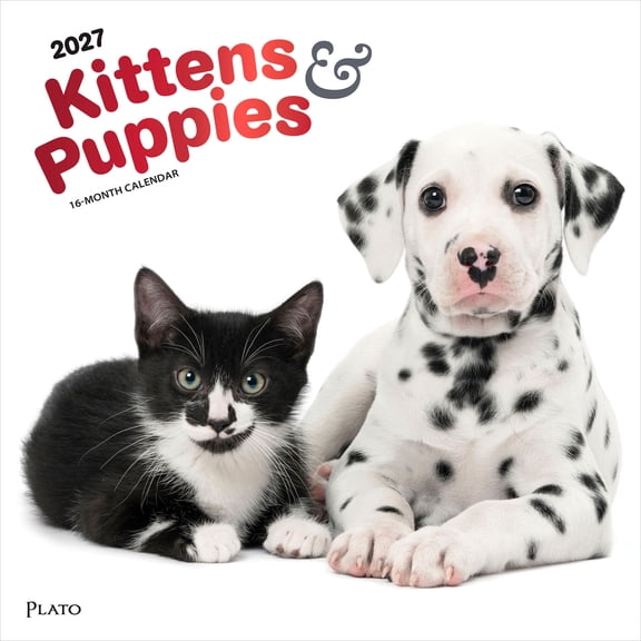 Kittens & Puppies 2027 12x24" (Hanging) Wall Calendar | Foil Stamped Cover | Plato
