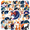5A, variant on cartoon Fox Stickers, Waterproof Fox Sticker for Water Bottle Laptop Phone Cases Planner Skateboard Luggage Helmet Party Favor Decor, Ideal for Adults Teens Teacher Rewards