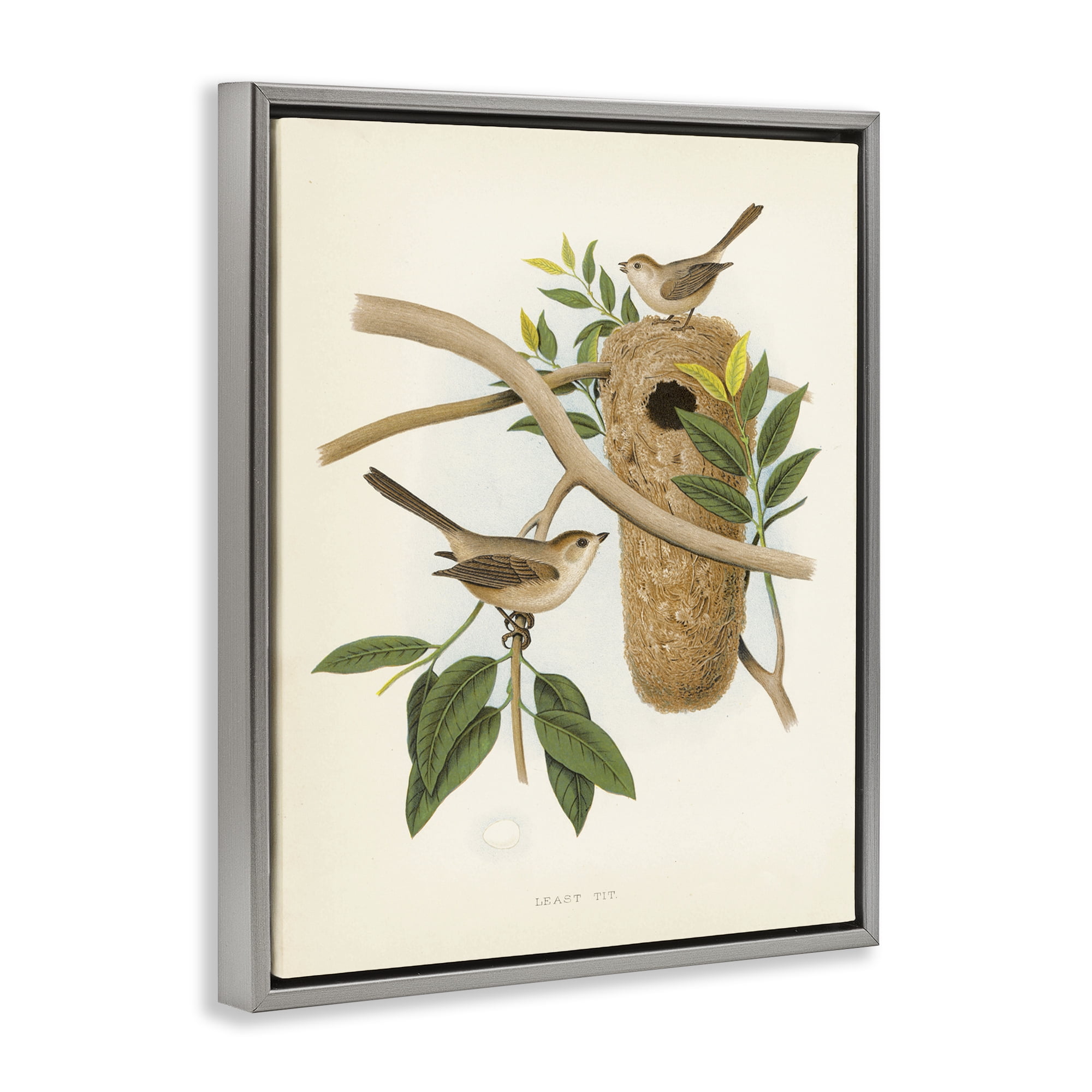 Stupell Industries Vintage Bird House Study Plants & Flowers Painting Gray Floater Framed Canvas Art Print Wall Art, 25 x 31