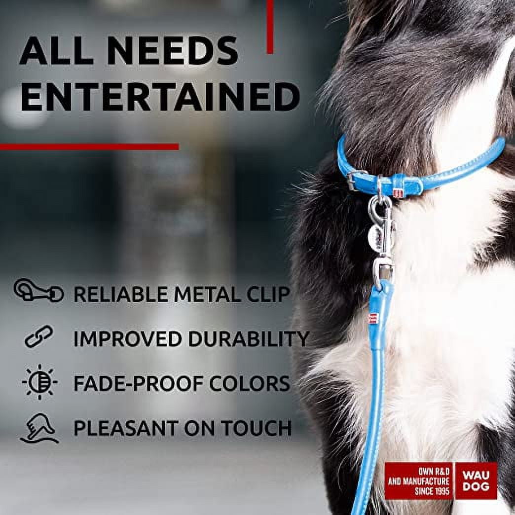 Glamour Rolled Leather Dog Leash for Small Medium and Large Dogs | Heavy Duty Strong Leather Puppy Leash for Outdoor Walking Running Training | Strong Dog Leashes for Large Breed Dogs - Blue