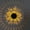 A, variant on Solar Outdoor Wall Lights, Decorative Metal Hollow Sunflower Sconce, Waterproof LED Exterior Garden Decor for Patio, Fence, and Yard