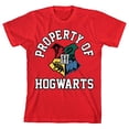 thumbnail image 5 of Harry Potter Property of Hogwarts Boy's Red T-shirt-XL, 5 of 7