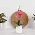 thumbnail image 4 of BRIGHTFUFU Decoración artificial de la planta en maceta artificial de la mesa de la orquídea de la flor en maceta, 4 of 7