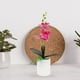thumbnail image 4 of BRIGHTFUFU Decoración artificial de la planta en maceta artificial de la mesa de la orquídea de la flor en maceta, 4 of 7