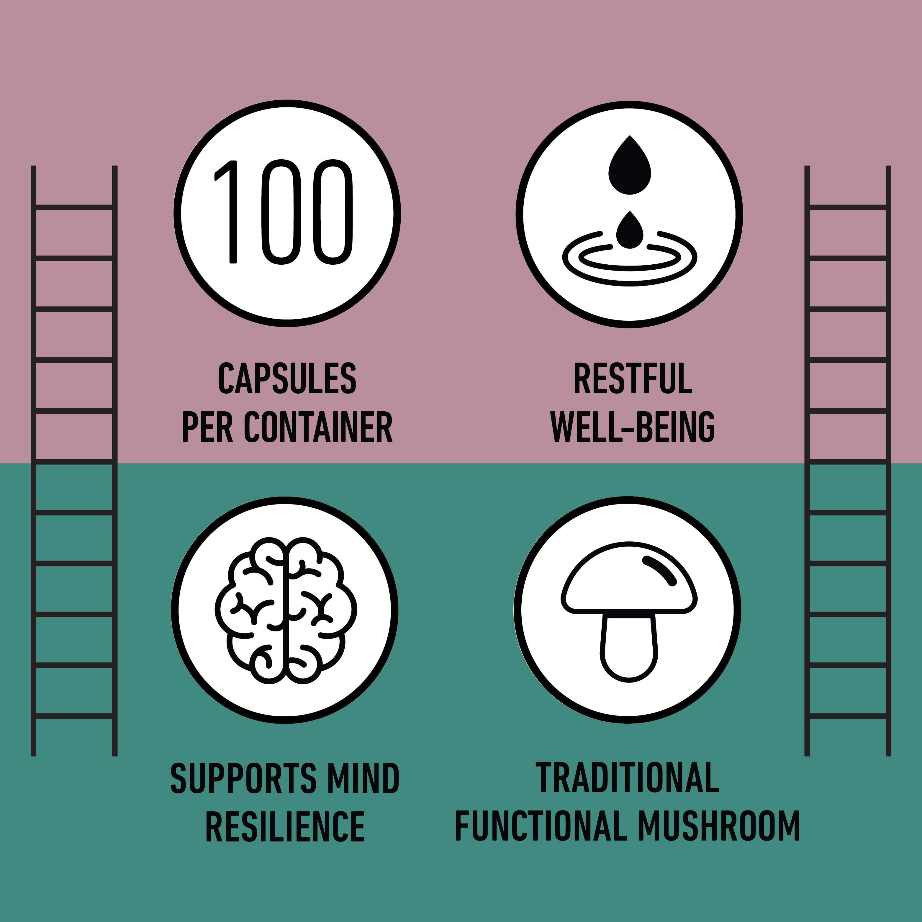 Complete Natural Products Organic Reishi Mushroom Capsules, 250mg, 100ct | Fruiting Body Extract | Plant-Based | Adaptogenic Support | Made in USA | Organic & Kosher Capsules