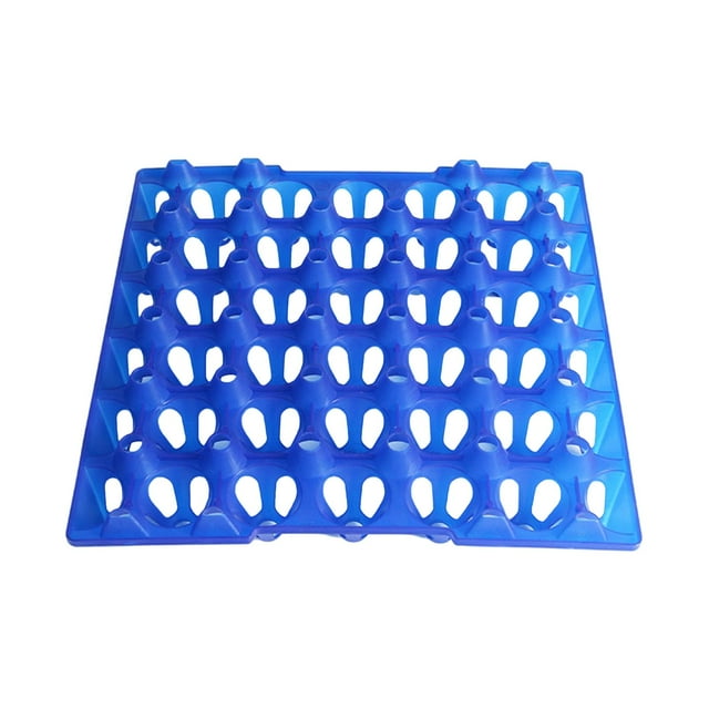 Contenedor de huevos de Granja Sunnimix plástico apilable azul
