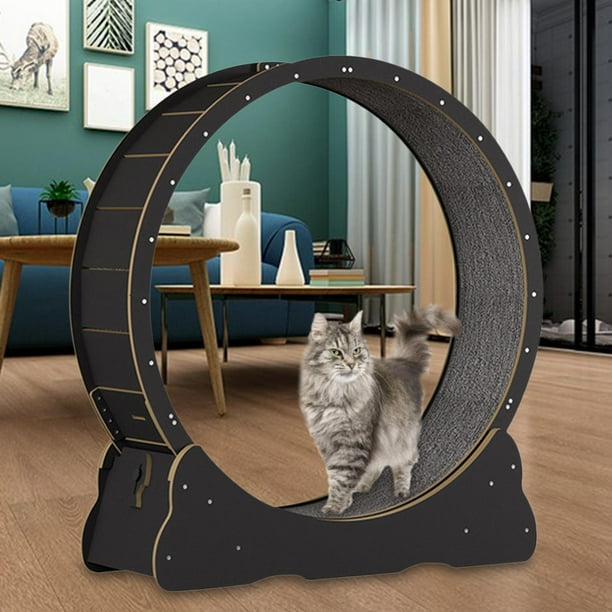 Cat Exercise Wheel Indoor Toys Cat Running Wheel Cat Treadmill