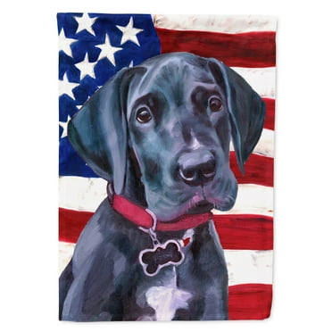 Carolines Treasures LH9544CHF Black Great Dane Puppy USA Patriotic American Flag House Flag House Size multicolor