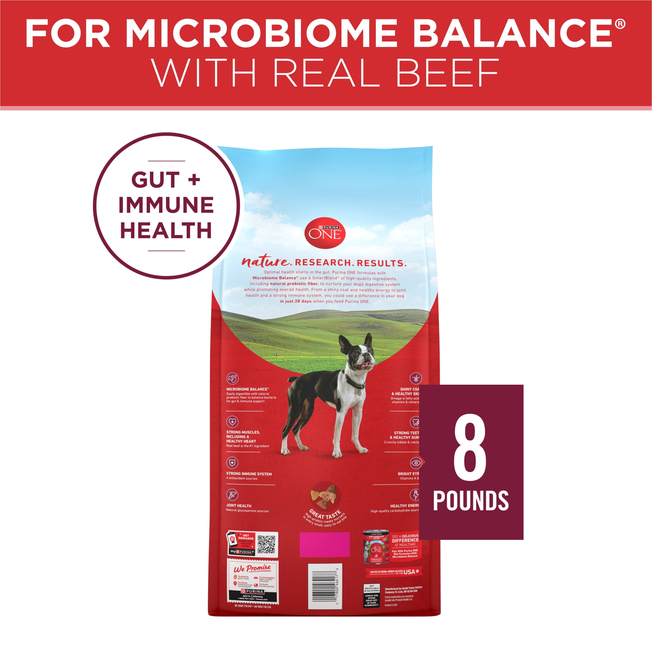 Purina ONE Small Bites Beef & Rice Flavor Dry Dog Food, 8 lb Bag
