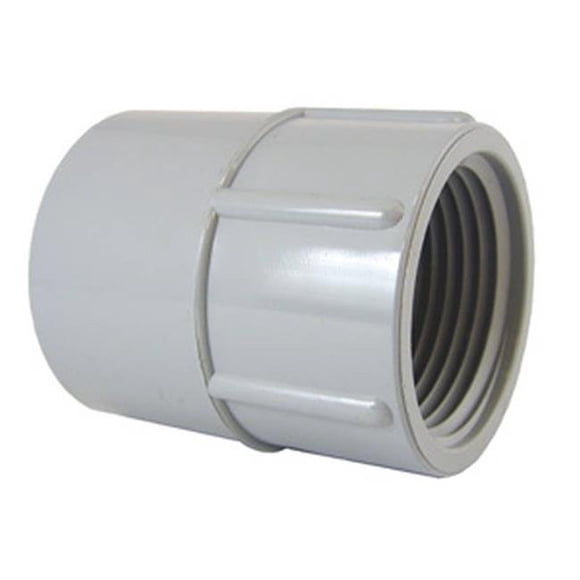 IPEX 9663261 1.5 in. Female Conduit PVC Adapter, Grey