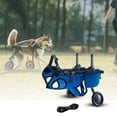 thumbnail image 4 of Fauteuil Roulant pour Chien pour le Dos et les Jambes avec Corde de Traction pour Animal, Chariot pour Chien Réglable, Chariots pour Chien avec Roues Robustes, Aides à la Mobilité pour Animaux, Membres Arrière, Chiens Paralysés, Blessés et Handicapés, 4 of 9