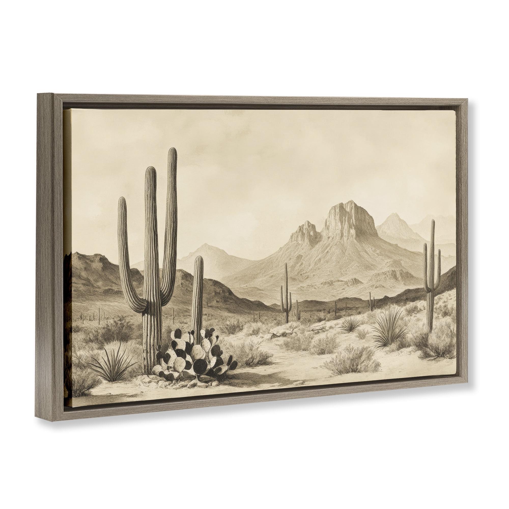 Stupell Industries Arizona Desert Vista Brown Framed Floater Canvas Wall Art, design by Petal Prints Design
