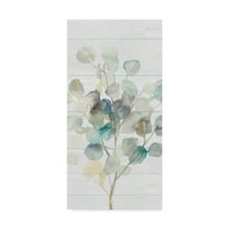 Trademark Fine Art 'Eucalyptus III on Shiplap Crop' Canvas Art by Danhui Nai