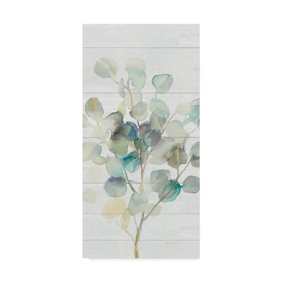 Trademark Fine Art 'Eucalyptus III on Shiplap Crop' Canvas Art by Danhui Nai