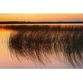 thumbnail image 2 of Jaynes Gallery 14x11 White Modern Wood Framed Museum Art Print Titled - Canada-Manitoba-Riding Mountain National Park Sunset on Lake Audy, 2 of 4