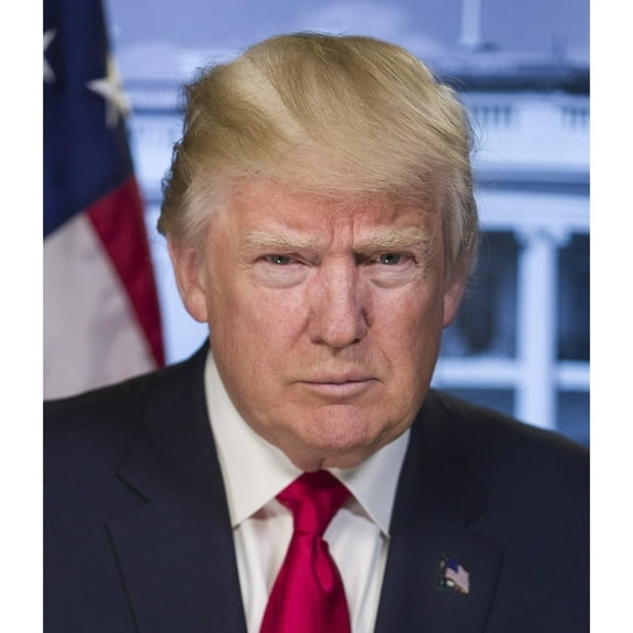President-Elect Donald Trump In A Portrait Released By The White House On Jan. 20 History (18 x 24)