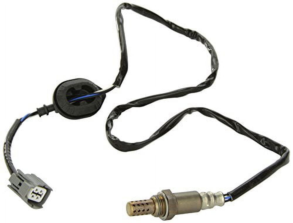 セト 613Idype98L._UF350,350_QL50_.jpg