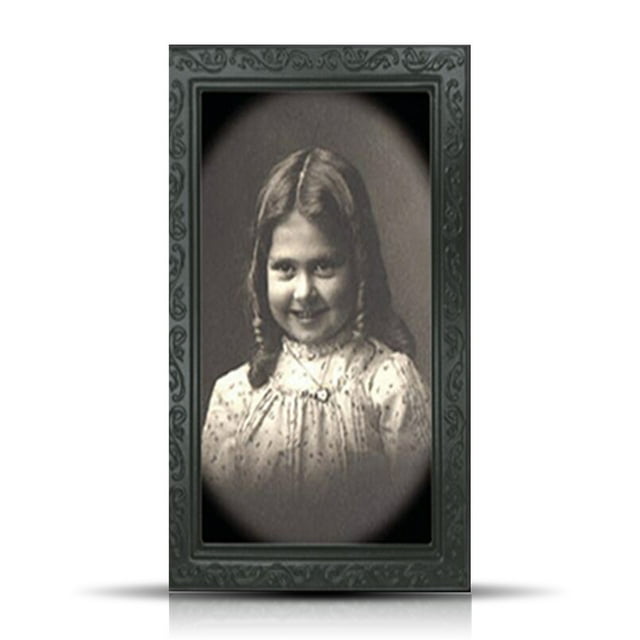 Toystoory Marco de fotos de Halloween Party Horror Scary PVC TPE Photo Home Hotel Haunted House Decoraciones Kits de decoración para fiestas No.08 Toystoory HA007572-08