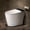 Dark Gray, variant on Smart Toilet with Bidet, Foam Shield, 4-Season Temperature, ADA Height, 1.0 Gallons Auto Flush, Heated Seat, Warm Water & Air Drying, Remote Control, Auto Deodorization, Blackout Flush, Night Light