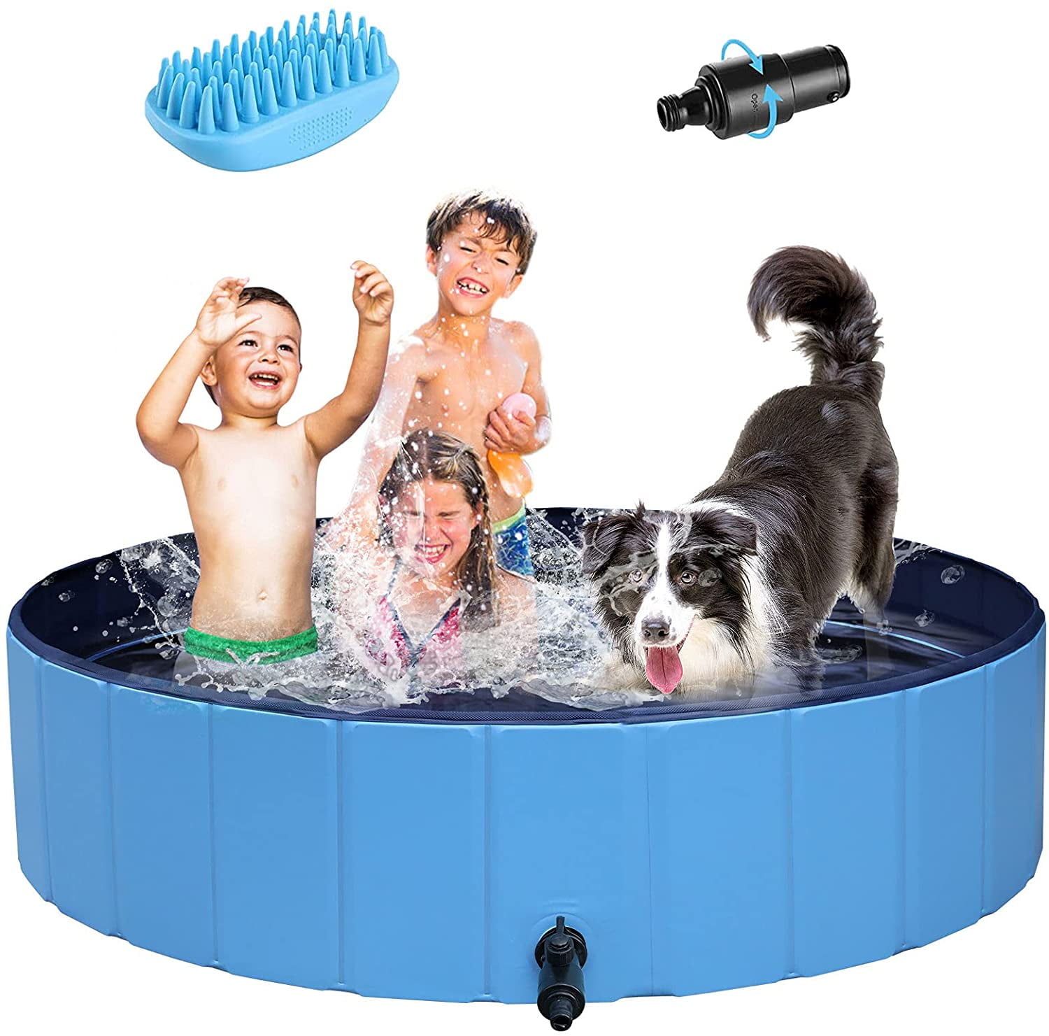 Can Dogs Damage Swimming Pools