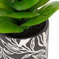 thumbnail image 3 of DesignOvation 10"H Artificial Fig Plant in Black and White Ceramic Pot, 3 of 8