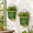 Green, variant on Gray Galvanized Metal Wall Mount Planter Set of 2 Rustic Hanging Pocket Flower Pots