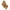Brown, variant on Dezsed Baby Girl Boy Clothes Clearance Newborn Infant Baby Knitted Cotton Long Sleeve Hooded Romper Long Pants Solid Color Fall Winter Outfits Coffee 0-6 Months