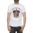 thumbnail image 2 of Harry Potter Mens Gryffindor Cotton T-Shirt, 2 of 5