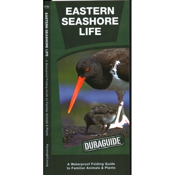 Pocket Naturalist Guide: Eastern Seashore Life : A Waterproof Folding Guide to Familiar Animals & Plants (Other)
