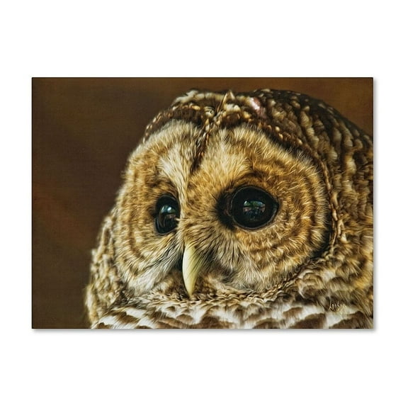 Trademark Fine Art "Barred Owl Portrait" Canvas Art by Lois Bryan