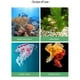 thumbnail image 4 of Enfriador De Acuario, 200W 60L Silencioso 1-3 Litros/minuto Enfriador De Agua Enfriador De Tanque De Peces Hidropónico De Tanque De Peces De Acuario, 4 of 7