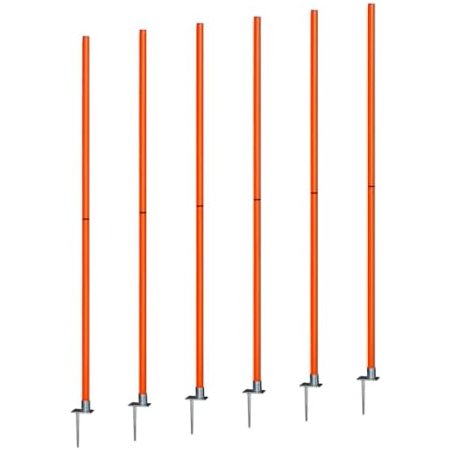 AGORA Coaching Sticks with Spike - Set of 6