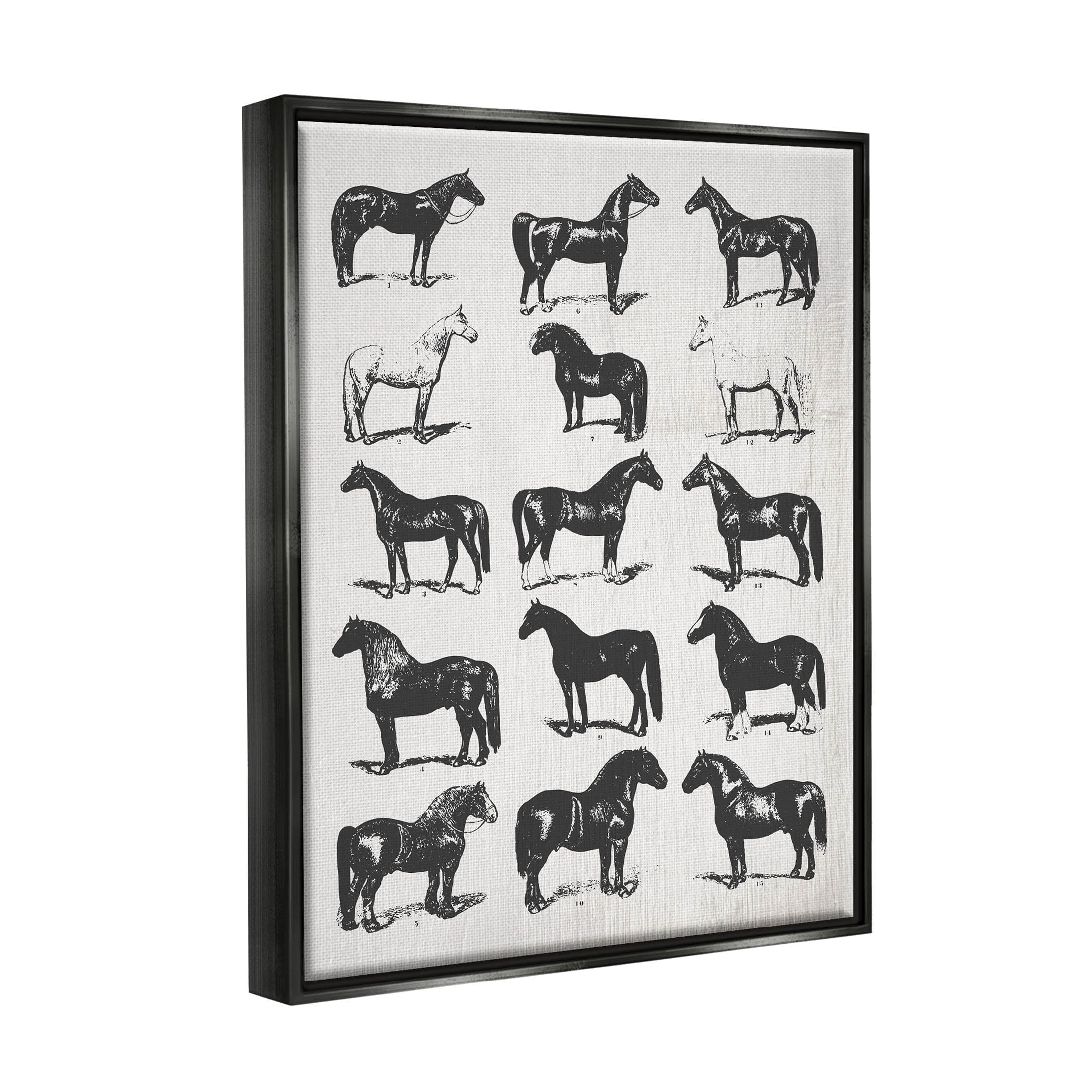 Stupell Industries Vintage Varied Horse Breeds Graphic Art Jet Black Floating Framed Canvas Print Wall Art, Design by Daphne Polselli