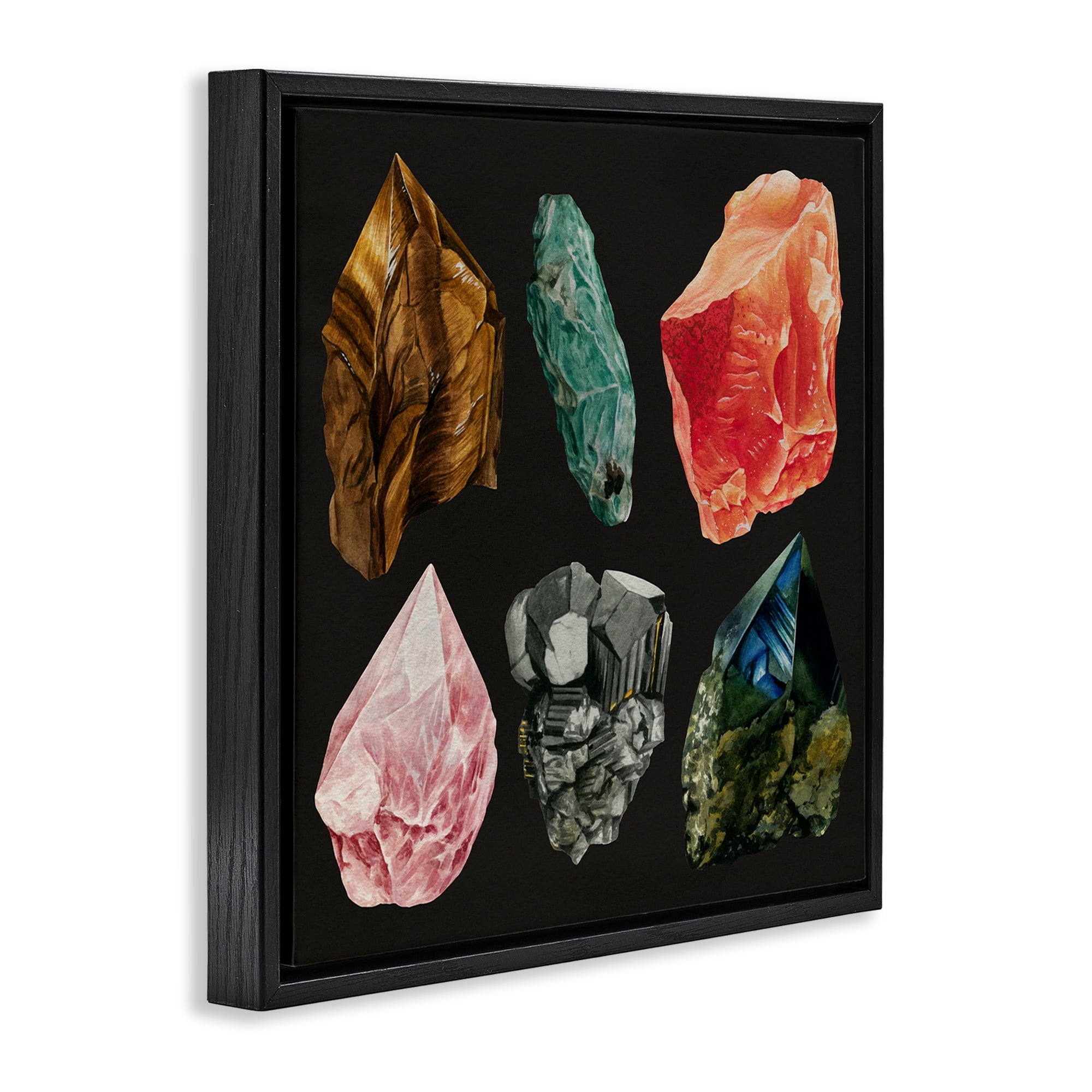 Stupell Industries Natural Crystal Gems STEM Painting Black Floater Framed Canvas Art Print Wall Art, 25 x 25
