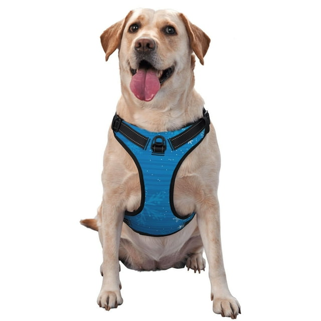 Balery Blue Christmas Arnés para Perros Grandes Antitirones, Arnés con Correa para Gato, Arnés Tipo Chaleco para Perros Pequeños-Medium