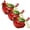 3pcs, variant on Cardinal Bird Succulent Planter, Red Resin Cardinal Flower Pot Decorative Indoor Outdoor Plant Pot for Succulents, Cute Animal Plant Pot Garden Desk Decor, Unique Gift for Bird Lovers