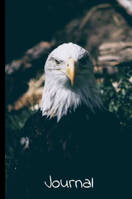 Eagle scout personal statement example image