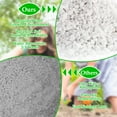 thumbnail image 4 of 4 Quarts Organic Horticultural Perlite for Plants Indoor- Natural Horticultural Soil Additive Conditioner Mix for Improves Drainage, Ventilation and Root Growth, 4 of 7