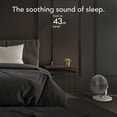 thumbnail image 6 of Vornado REFRESH 8 Table Fan with Aromatherapy Scent Pads, Swivel Base, 3 Speed Settings, 6 of 6