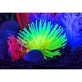 thumbnail image 4 of Anémona amarilla, adorno detallado para acuario, crea un efecto brillante Artificial Coral Acuario Pecera Simulación Silicona Plantas Flor Plástico Suave Mar Anémona Paisaje Decoración, 4 of 5
