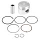 thumbnail image 1 of sweethay Kit de anillos de pistones, conjunto de anillos de pistones de Metal de 39MM/1,53 pulgadas, anillos de sellado de de sello de alto Vehículos, repuestos y accesorios Mis sweethay VI005740-00, 1 of 6