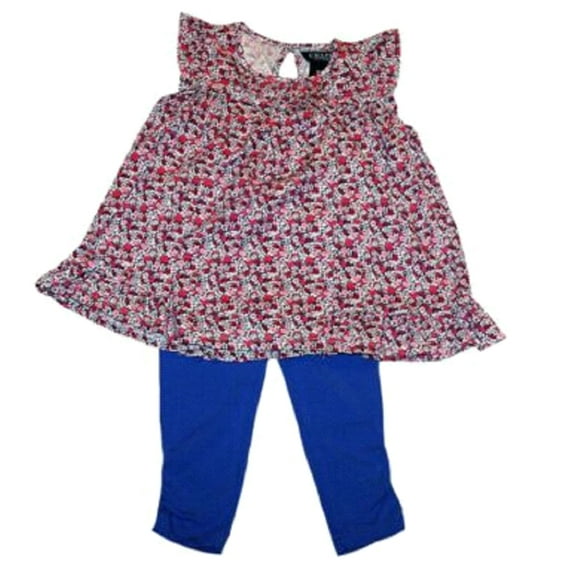 Baby Girl 2pc Flower Shirt & Leggings (24 Months)