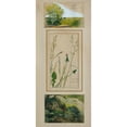 thumbnail image 2 of Josef Wawra 10x18 Black Ornate Wood Framed Double Matted Museum Art Print Titled - Studies According to Nature (1920), 2 of 5