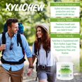 thumbnail image 2 of Xylichew 100% Xylitol Chewing Gum Jars - Non GMO, Gluten, Aspartame, and Sugar Free Gum - Natural Oral Care, Relieves Bad Breath and Dry Mouth - Spearmint, 60 Count (Pack of 4), 2 of 7