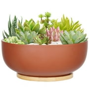 10 inch Succulent Pots, Terracotta Succulent Planters, Large Succulent Bonsai Planter, Succulent Planting Bowl with Drainage Hole and Bamboo Tray, Indoor and Outdoor Decor